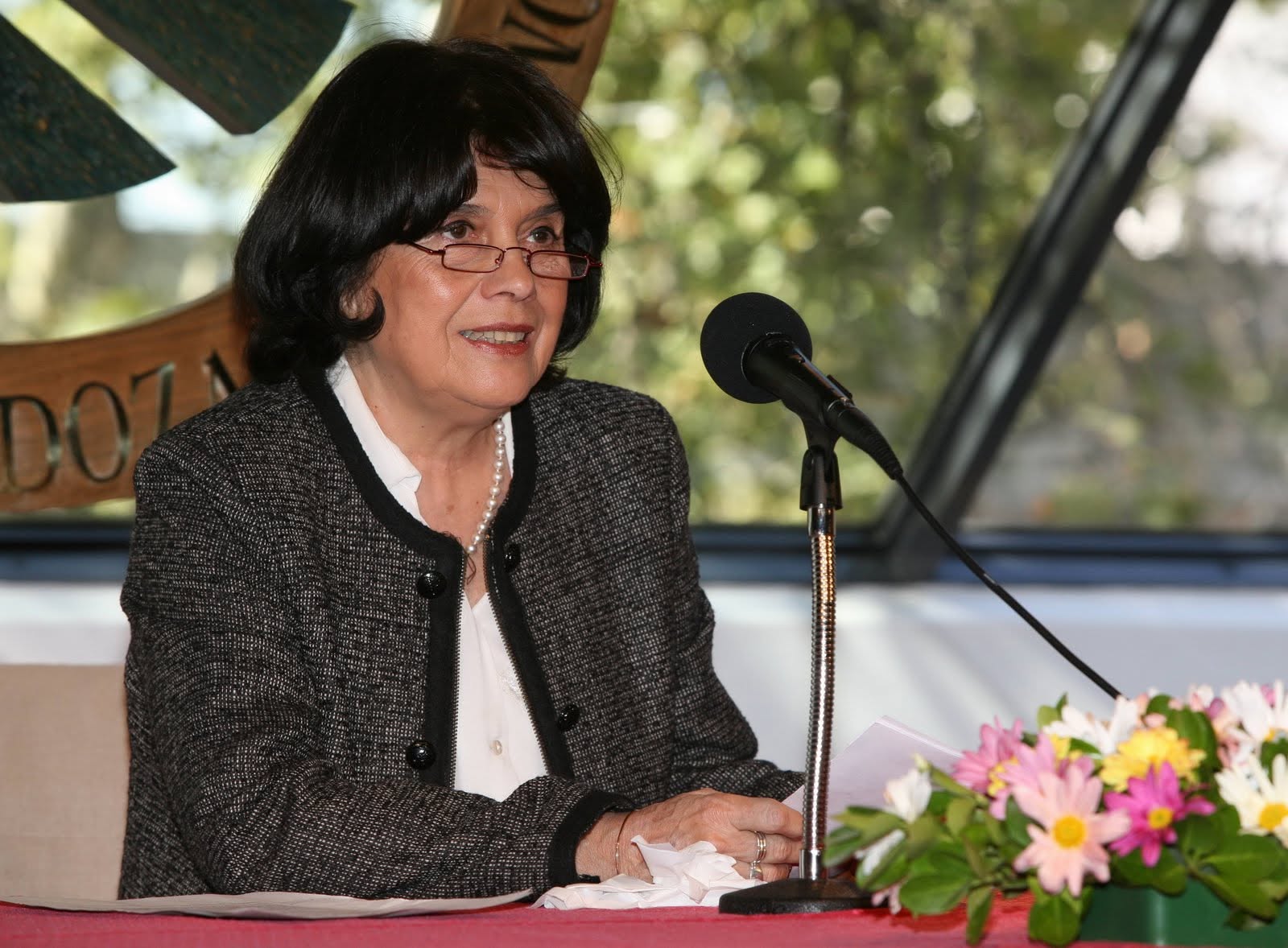 María Cristina Seghesso de López Alarcón